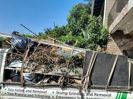 Demolition Debris Removal in Cimarron Hills, CO